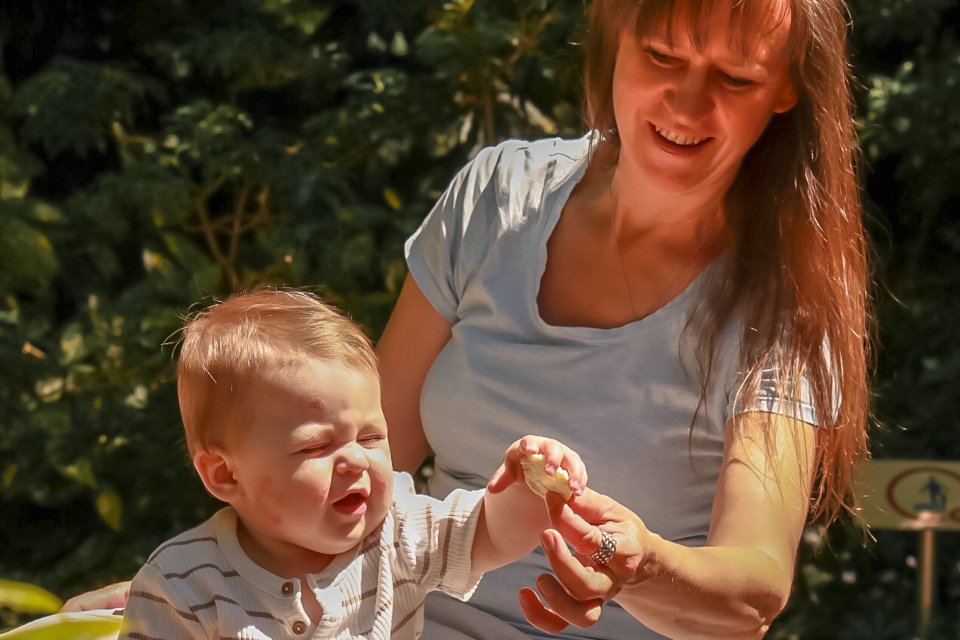 Beikostkurs Berlin Hoppegarten Hönow